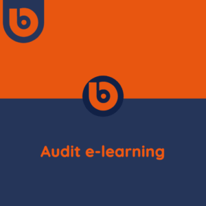 Audit e-learning