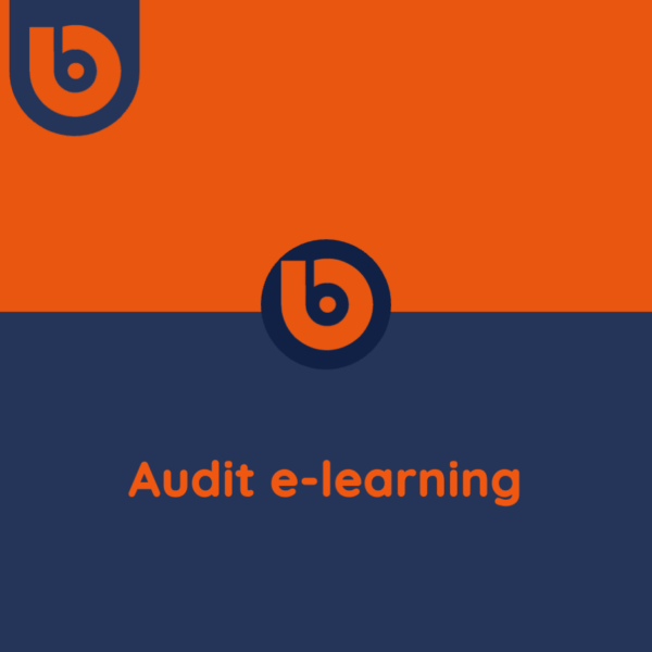 Audit e-learning